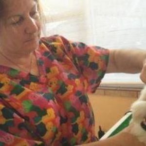 Meet your Posher, Jody